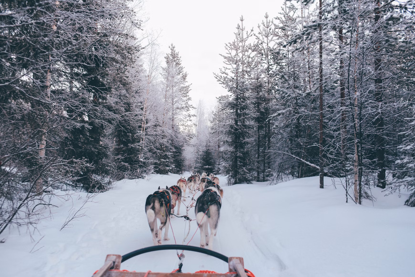 Finland Winter